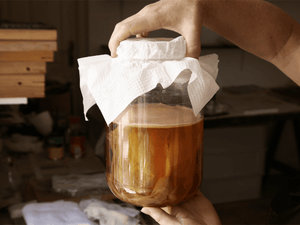 Kombucha Fermentation Tracking with EasyDens